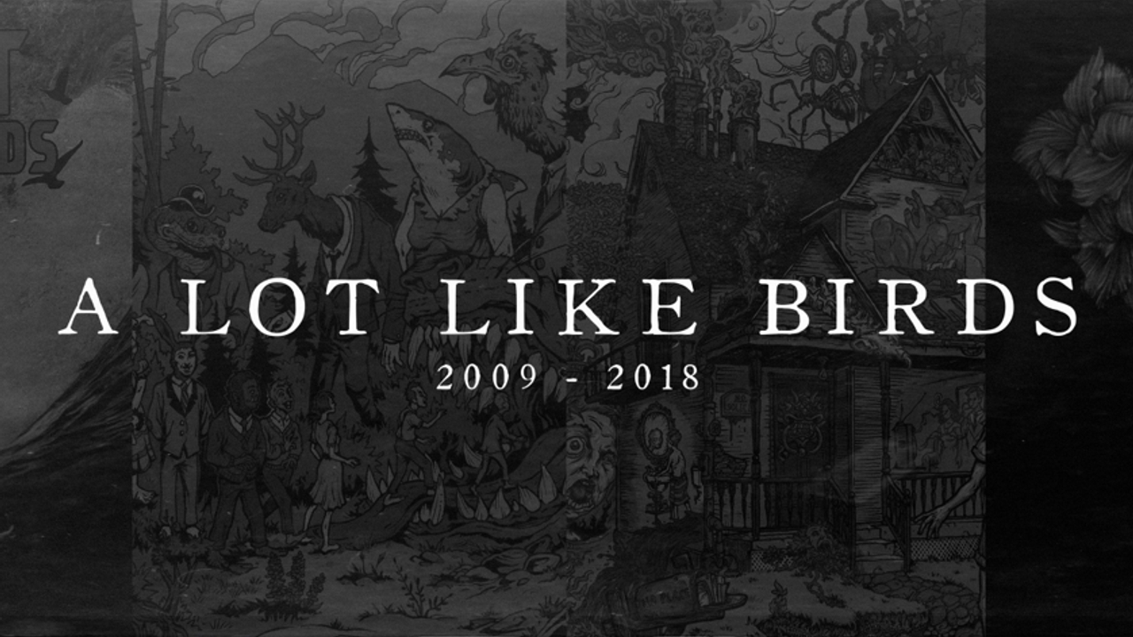 A Lot Like Birds